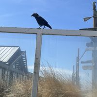   at TIJN in Zandvoort