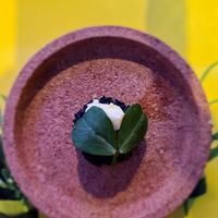 Cucumber, nut butter, miso, fingerlime at Shu in Collingwood