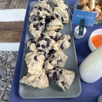   at OMUS vegan @Dive Camp in Dauin