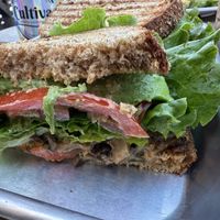 Mushroom torta on whole wheat    at Cultiva  in San Juan Bautista