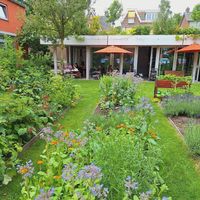 vegetable garden at Atelier Giri in Arnhem