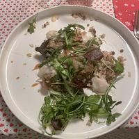   at KOOKPLANT in Drongen