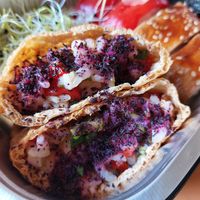  at KOOKPLANT in Drongen