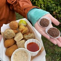   at KOOKPLANT in Drongen