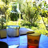 Lovely table overlooking the garden at Coogee Common in Coogee