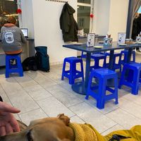 interior at Asian Pavillon in Vienna