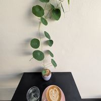 Coffee at Levend Coffee and Craft Cocoa in Udon Thani