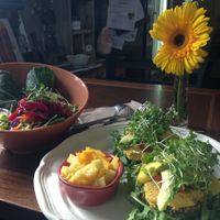 island collard and over the moon salad  at Salud Live Kitchen and Juice Bar in Bend