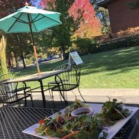 “won tons” YUM at Salud Live Kitchen and Juice Bar in Bend