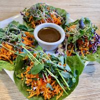 Wontons   at Salud Live Kitchen and Juice Bar in Bend