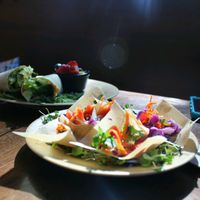 Won Tons at Salud Live Kitchen and Juice Bar in Bend