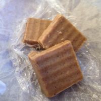 Vegan Almond Cardomom Fudge at Salud Live Kitchen and Juice Bar in Bend