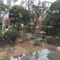 the view from my table at Cafe Topinambour in Tokyo