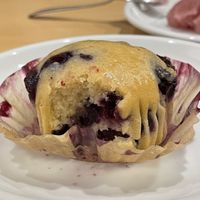Plant-based maple blueberry muffinns  at Sappho - 本と喫茶 サッフォー in Tukuba