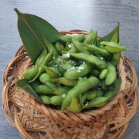 Edamame at Pho Hanoi & Sushibar in Rosenheim