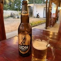 Lion Beer is served chilled.   at Ceylon Excel in Tangalle