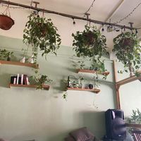   at 9 ó 6 Comida Vegana. in Puebla