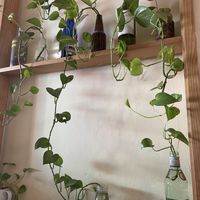   at 9 ó 6 Comida Vegana. in Puebla