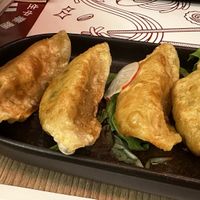 Gyoza di verdure  at Fresh Ramen in Monza