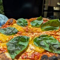  at Alakazam in Mexico City