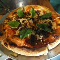  at Alakazam in Mexico City