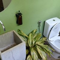 The ambience 🌱 at Bunch in Hiriketiya