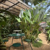 Lovely outdoor seating   at Bunch in Hiriketiya