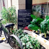  at Ana Alban Homenajes  in Fuerteventura