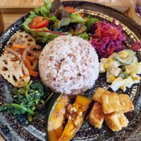 Main dish at PLANT-BASED CAFE ANDPON in Osaka