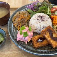  at PLANT-BASED CAFE ANDPON in Osaka