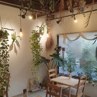  at PLANT-BASED CAFE ANDPON in Osaka
