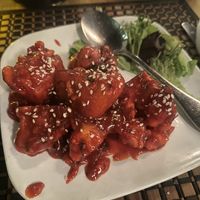   at Mughlai Grill Indian Cuisine in New York City