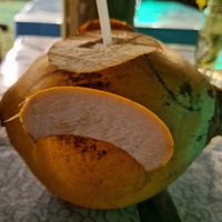  at Green Cafe  in Hikkaduwa