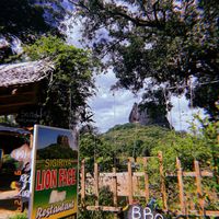 Happy to make you vegan curries, no problem! I asked for “Curry & Rice” and said “no meat, no fish, no dairy no egg” they said no problem but it would be 30 mins.   at Sigiriya Lion Face in Sigiriya