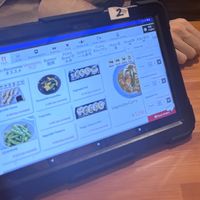 Some items are marked vegan, for the other items we asked staff  at Sushi & Pokebowl Ryukyu in Yomitan