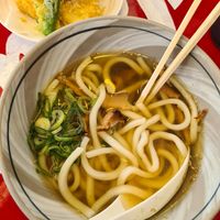 Hot soup udon noodles at Kasu Udon EBISUYA Main Store in Osaka