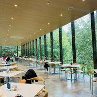 Interior  at The Whitworth Cafe in Manchester