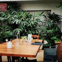  at Green Theory in Bangalore