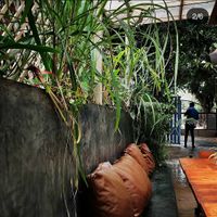  at Green Theory in Bangalore