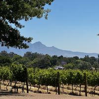   at Atlas Swift in Franschhoek