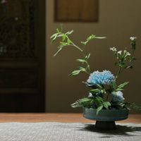 花道  at Sans Soucis Vegan - 无忧大美 in Shanghai