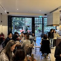 Inside   at Kürtősh  in West End