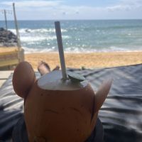 King coconut  at Bara Beach in Boossa