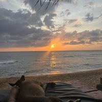 Sunset with local dogs hanging around😄 at Bara Beach in Boossa