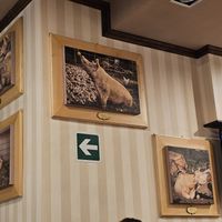  at Arrecrià Bistrot in Naples