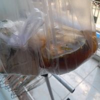 My take away vegan food. Bún Thái at Tịnh Tam in Ho Chi Minh City