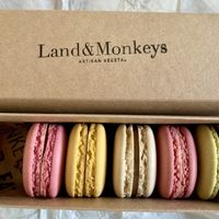 Macarons in Land & Monkeys  at Land & Monkeys - Montmartre in Paris
