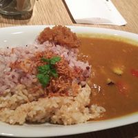 Vegan curry. at Ukafe in Tokyo