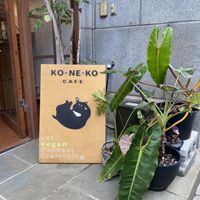   at Koneko Cafe in Taipei