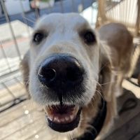   at The Conscious Kitchen - Napier St in Cape Town